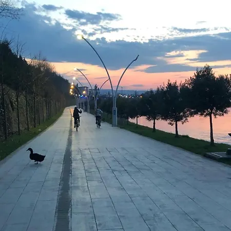 Ξενοδοχείο Blue Pier Κοτζαελί